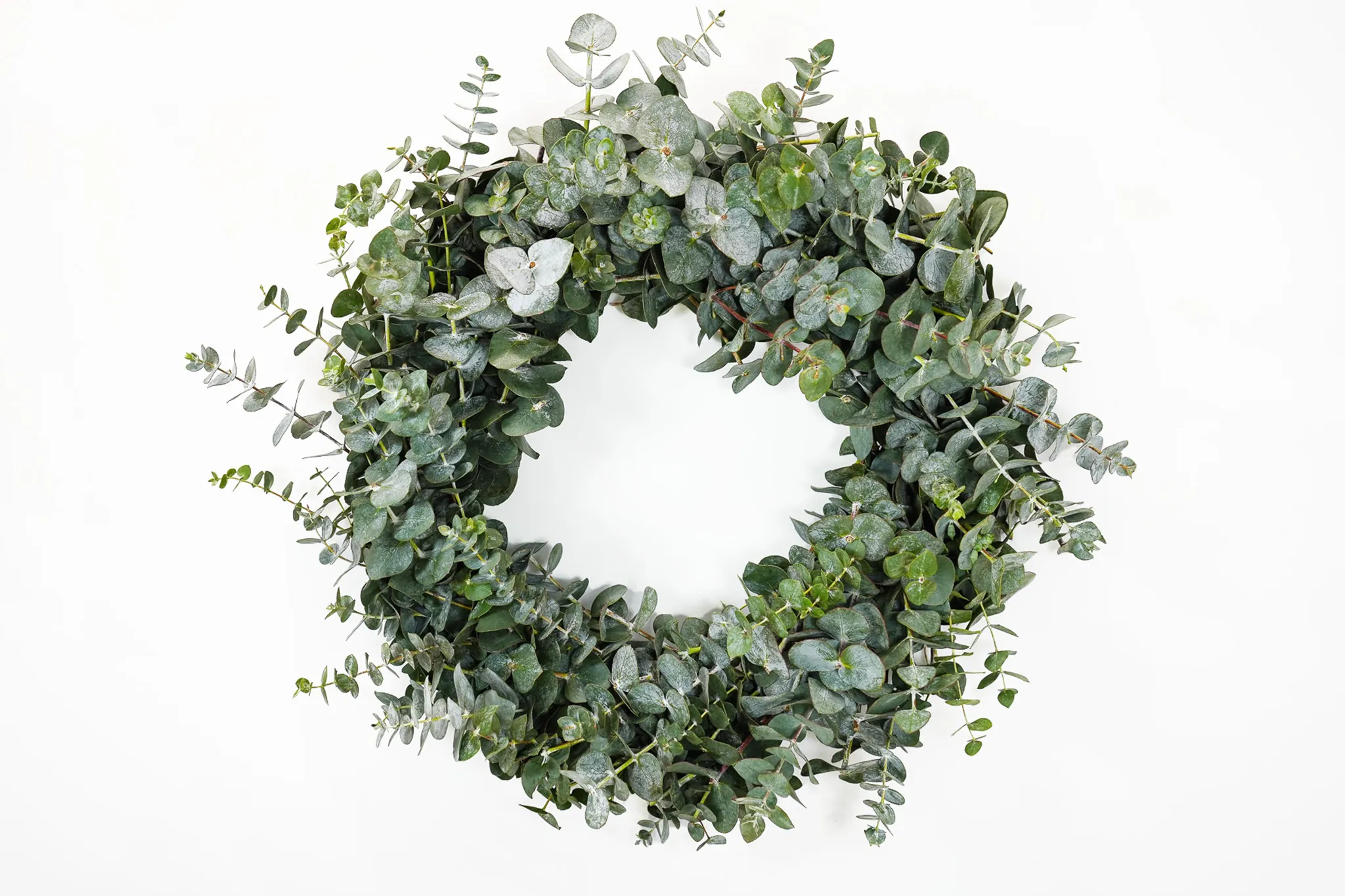 Eucalyptus Arrangement