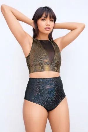 Mesh-Front Crop Top | 13 Colors