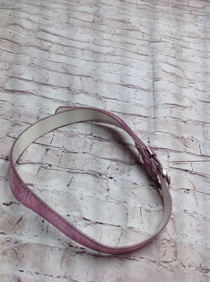 *No Brand Sparkly Belt