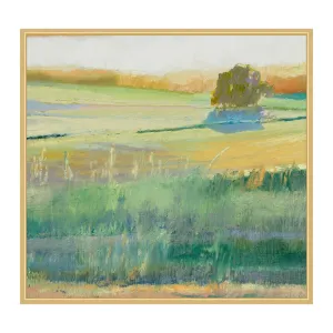 Summer Fields 2