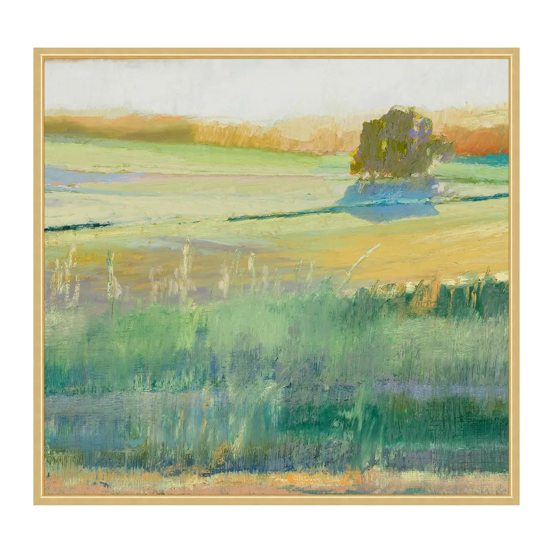 Summer Fields 2
